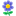 Mavi Çiçek