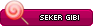 Sekergibi